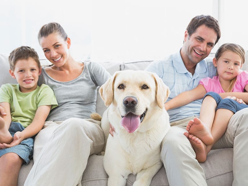 A family sitting on a couch with a dog.
