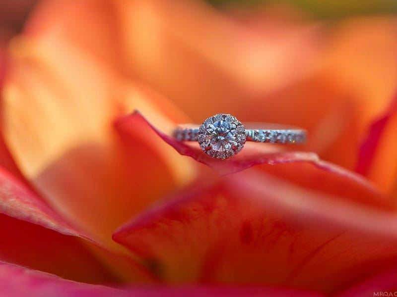 An Promise Ring ring sits on top of an orange flower.