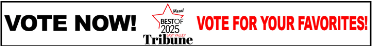 A banner with "Vote Now! Best of 2025" by a red star logo, urging readers to "Vote for your favorites!" in bold red and black text.